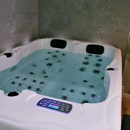 Apartment Luxueux Avec Jacuzzi Privatif Roanne
