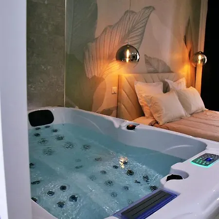 Luxueux Avec Jacuzzi Privatif * Roanne